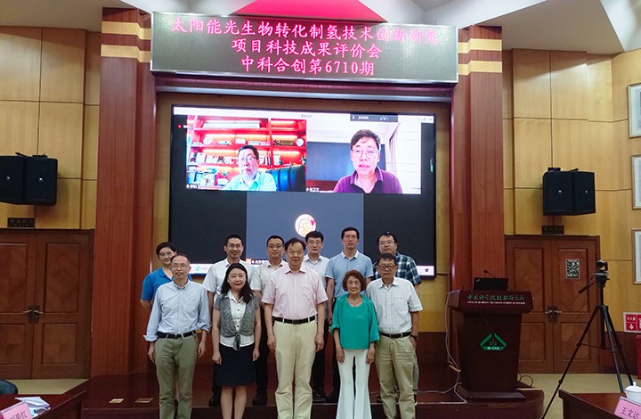 太阳能微藻产氢创新研究 anli