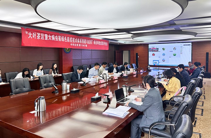 1775183949872 科技成果评价