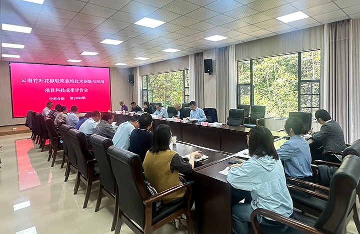 云南竹叶花椒轻简栽培创新与应用 anli