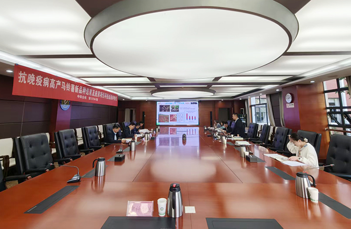 抗晚疫病高产马铃薯新品种选育及应用 anli